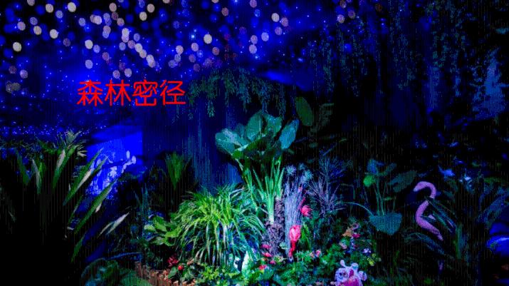 空中大战斗